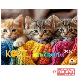 KALENDARZ ALBUMOWY KSA V2 KOCIE FANABERIE PAN KALE