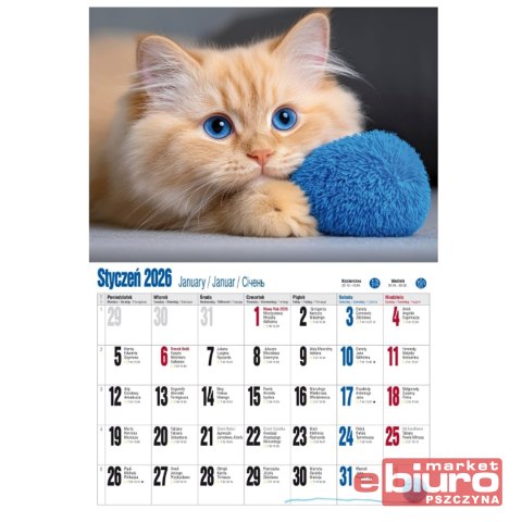 KALENDARZ ALBUMOWY KSA V2 KOCIE FANABERIE PAN KALE