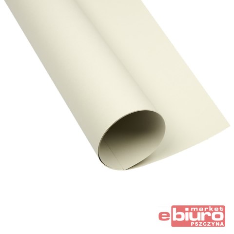 KARTON OXF A2 160G 93 JASNOSZARY