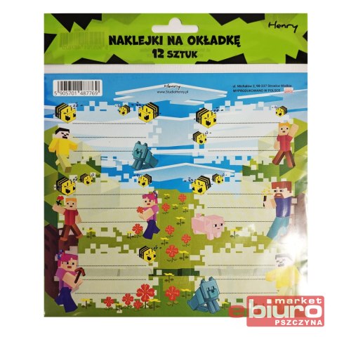 NAKLEJKI NA OKŁADKĘ 2 12SZT GRA 2 HENRY