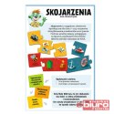 GRA SKOJARZENIA MAŁY ODKRYWCA TREFL