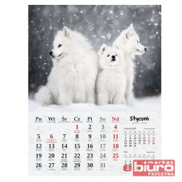 KALENDARZ 7-PLANSZOWY PSY ARTSEZON