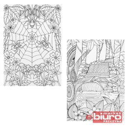 KOLOROWANKA ANTYSTRESOWA PIĘKNO PRZYRODY MFP