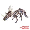 SKŁADANKA KOLOR STYRACOSAURUS CK K-JC006 AXTOM