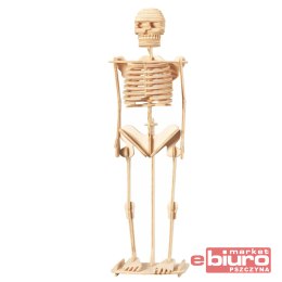 SKŁADANKA SZKIELET B P 076 AXTOM