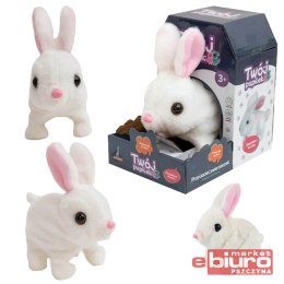 KRÓLICZEK NA BATERIE 112626 ASKATO