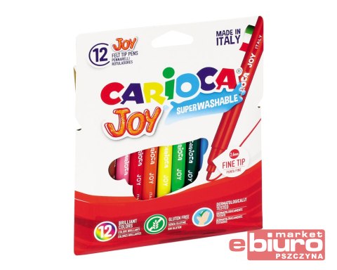 PISAKI CARIOCA JOY 12 KOLORÓW (40531)