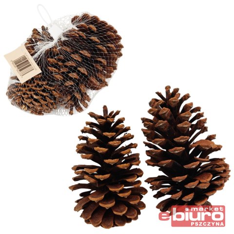 SZYSZKI 12-14CM 2SZT X339 FLO-ART