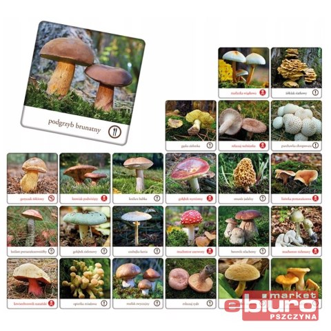 GRA PAMIĘCIOWA GRZYBY POLSKI MEMORY ADAMIGO