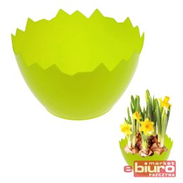 OSŁONKA WIELKANOCNA SKORUPKA ZIELONA ARPEX