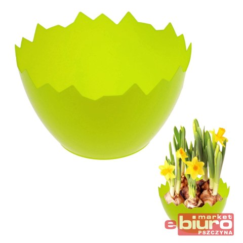 OSŁONKA WIELKANOCNA SKORUPKA ZIELONA ARPEX