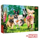 PUZZLE 1000 NADCHODZĄ KŁOPOTY 10800 TREFL
