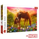 PUZZLE 500 KONIE NA ŁĄCE 37451 TREFL