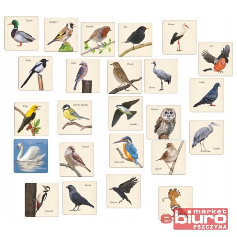 GRA PAMIĘCIOWA MEMORY PTAKI ADAMIGO