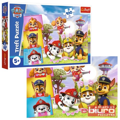 PUZZLE 100 NIEUSTRASZONE DZIEWCZYNY PAW PATROL TRE