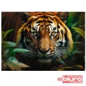 PUZZLE 1000 DZIKI TYGRYS 10798 TREFL