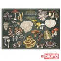 PUZZLE 500 PREMIUM PLUS GRZYBY 37608 TREFL