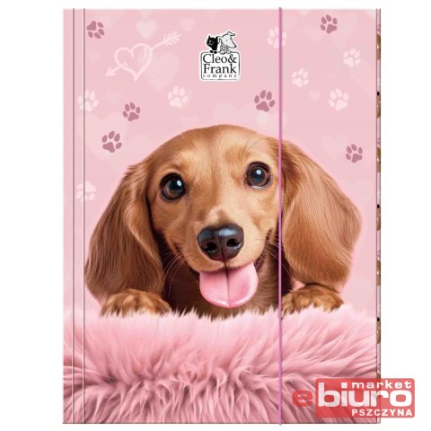 TECZKA Z GUMKĄ A4 CLEO I FRANK 46 PIES DERFORM