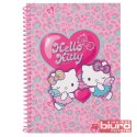 HELLO KITTY KOŁOBRULION B5 100K KR WZÓR 1 PINK 1
