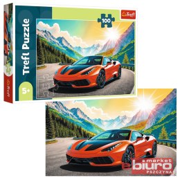 PUZZLE 100 WYŚCIG Z CZASEM 16490 TREFL