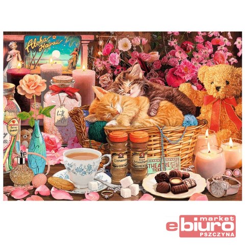 PUZZLE 1000 PREMIUM PLUS WSZYSTKO CO PRZYJEM 10802