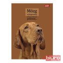 ZESZYT A5 60K KRATA LAMIN DOGGY MOODS ST.M