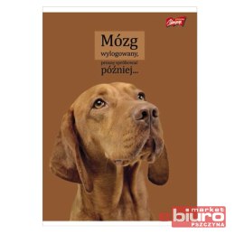 ZESZYT A5 60K KRATA LAMIN DOGGY MOODS ST.M