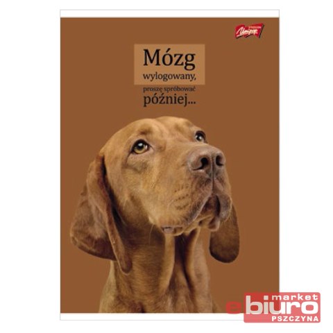 ZESZYT A5 60K KRATA LAMIN DOGGY MOODS ST.M