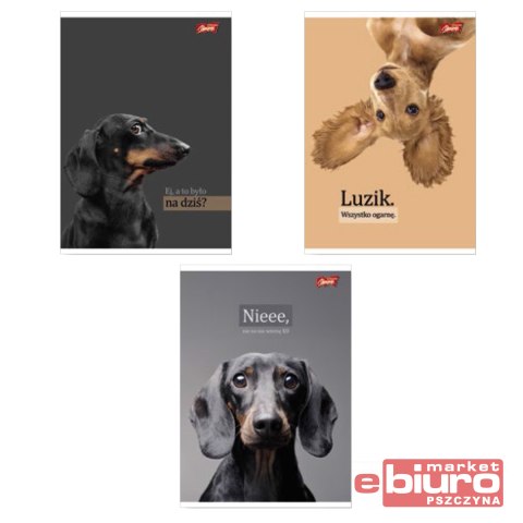 ZESZYT A5 60K KRATA LAMIN DOGGY MOODS ST.M