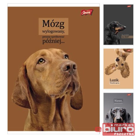 ZESZYT A5 60K KRATA LAMIN DOGGY MOODS ST.M
