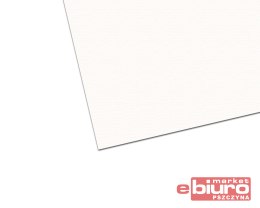 KARTON 70X100 B1 BIAŁY 250G KRESKA A'20