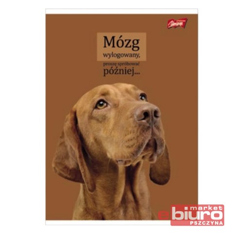 ZESZYT A4 60K KRATKA LAMIN DOGGY MOODS UNIPAP