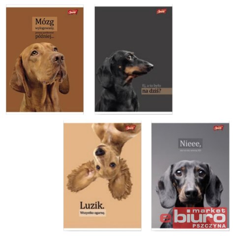 ZESZYT A4 60K KRATKA LAMIN DOGGY MOODS UNIPAP