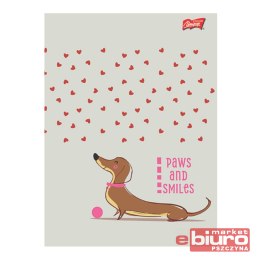 ZESZYT A5 32K KRATKA LAMIN LOVELY DACHSHUND 3180