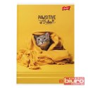 ZESZYT A5 32K LINIA PODW DWUKOL LAM PAWSITIVE VIBE