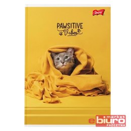 ZESZYT A5 32K LINIA PODW DWUKOL LAM PAWSITIVE VIBE