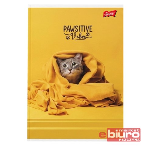 ZESZYT A5 32K LINIA PODW DWUKOL LAM PAWSITIVE VIBE