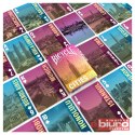 KARTY BICYCLE CITIES OF THE WORLD EUROPE CARTAMUNI