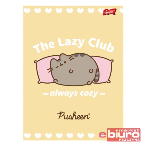 ZESZYT A5 32K LINIA PUSHEEN ST.M