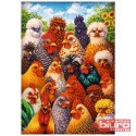 PUZZLE 1000 KURY 10997 TREFL
