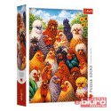 PUZZLE 1000 KURY 10997 TREFL