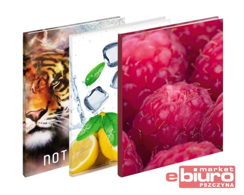 BRULION B5 160 KARTEK KRATKA GRAND