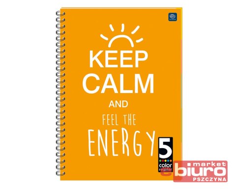 KOŁOZESZYT B5 100 KARTEK KRATKA 5 KOLOROWY REGISTR