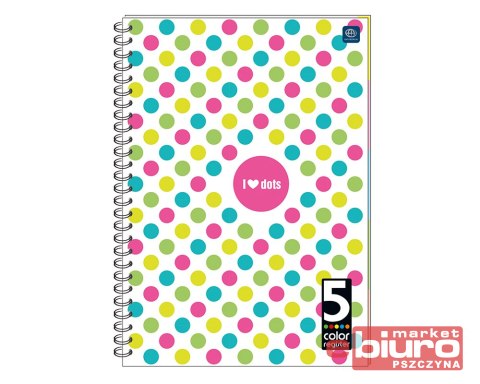 KOŁOZESZYT B5 100 KARTEK KRATKA 5 KOLOROWY REGISTR