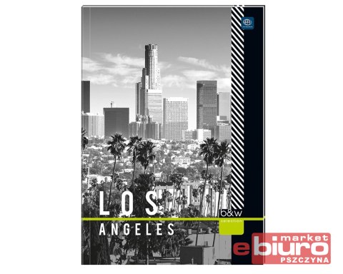 BRULION PÓŁTWARDY B5 160 KRATKA INTERDRUK