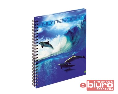 KOŁONOTATNIK A4 T2 100 K SPIRALA TWARDA OPRA GRAND