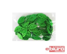 APLIKACJE LISTEK MAŁY CIEMNO ZIELONY. 1MB APLM-M22