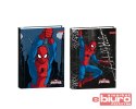 BRULION A6 96 KARTEK KRATKA SPIDER MAN