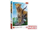 PUZZLE 500 DZIKI LAMPART 37332 TREFL