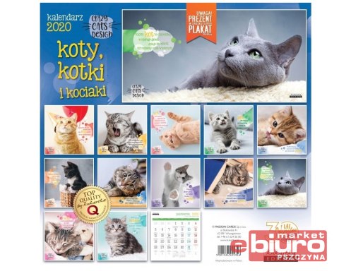 KALENDARZ CLASSIC Q KOTY PASSION